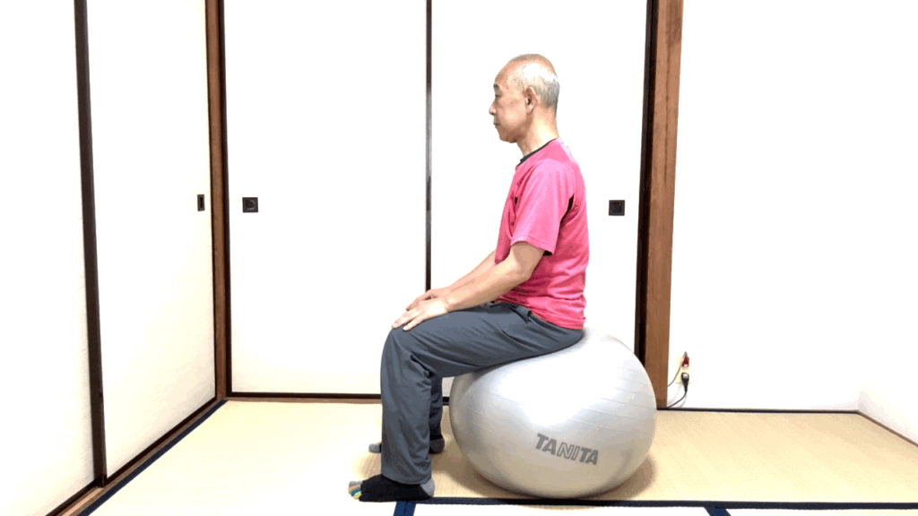 横から見ると